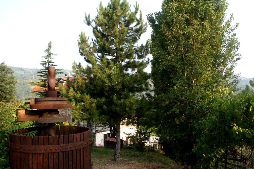 Cascina Ciosse B&B Grognardo Exteriér fotografie
