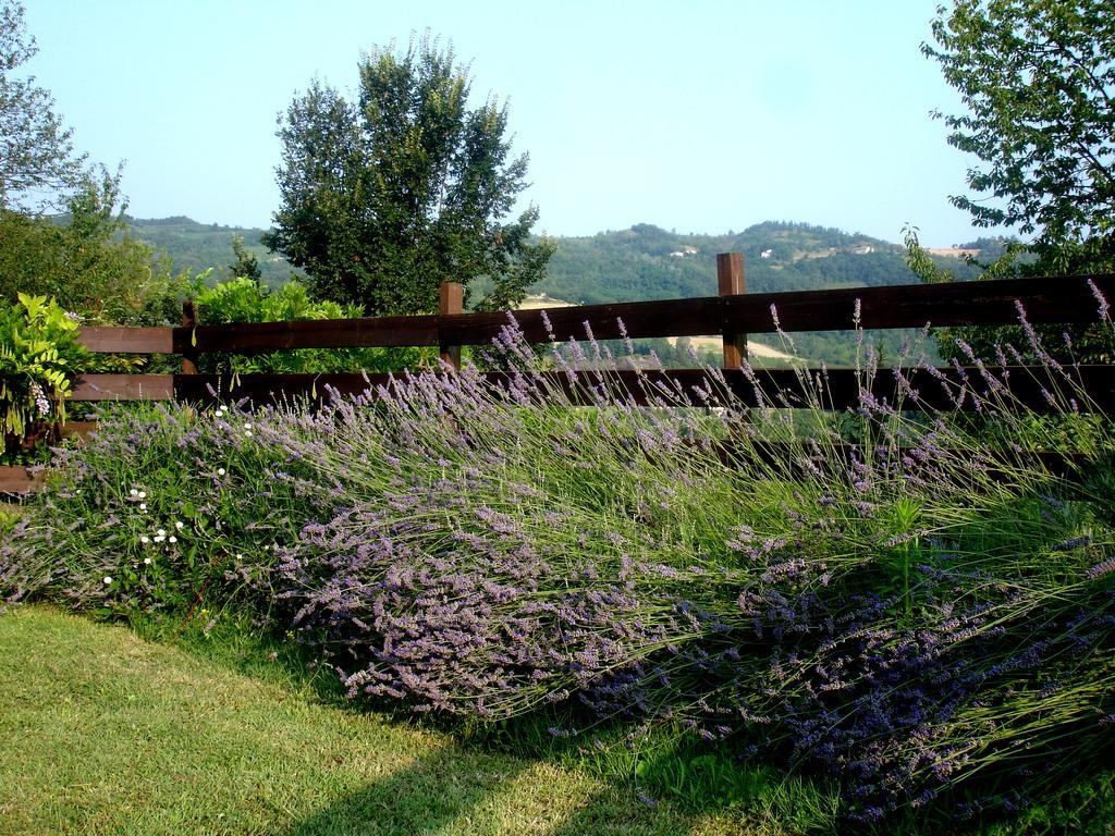Cascina Ciosse B&B Grognardo Pokoj fotografie
