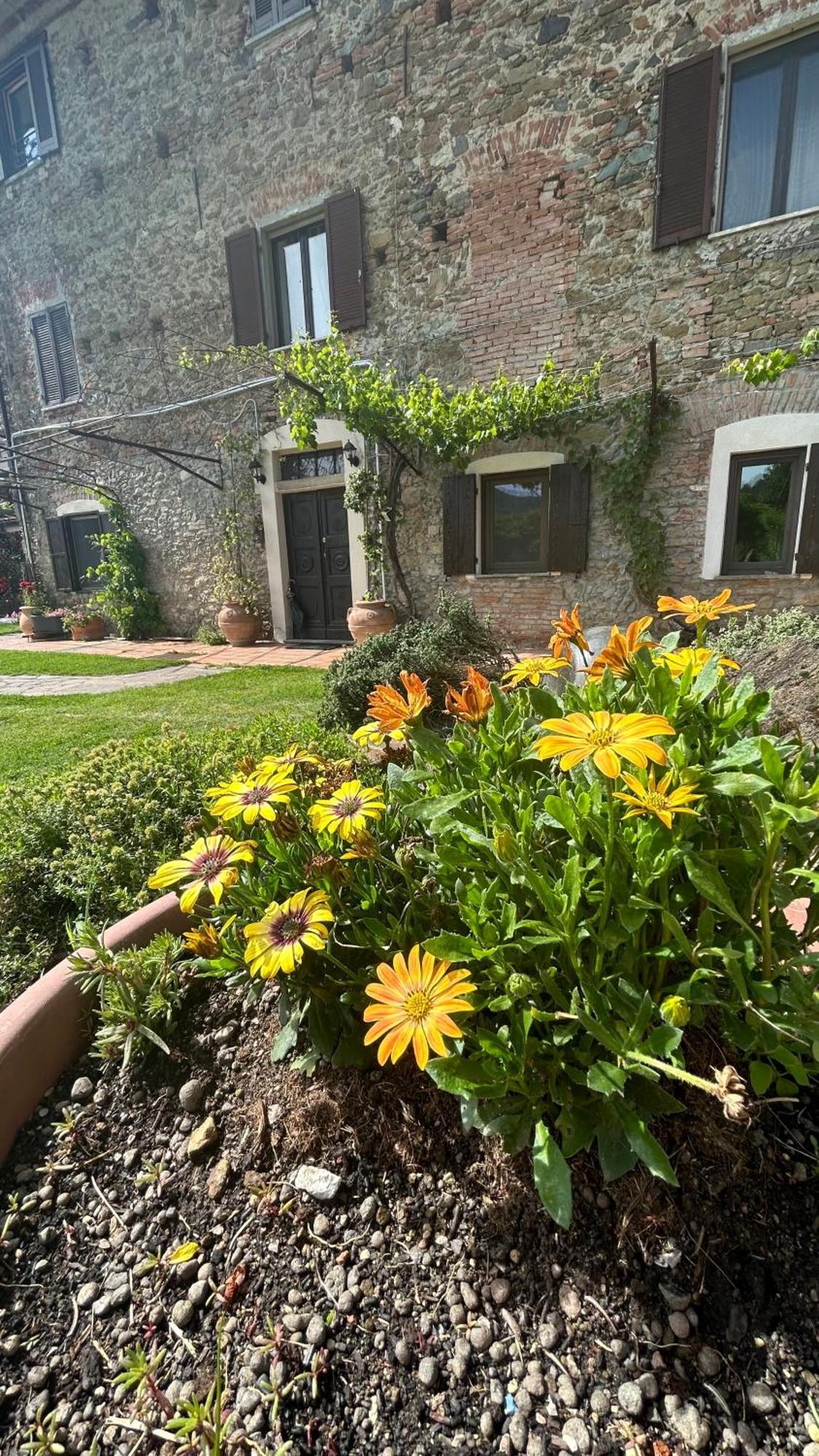 Cascina Ciosse B&B Grognardo Exteriér fotografie