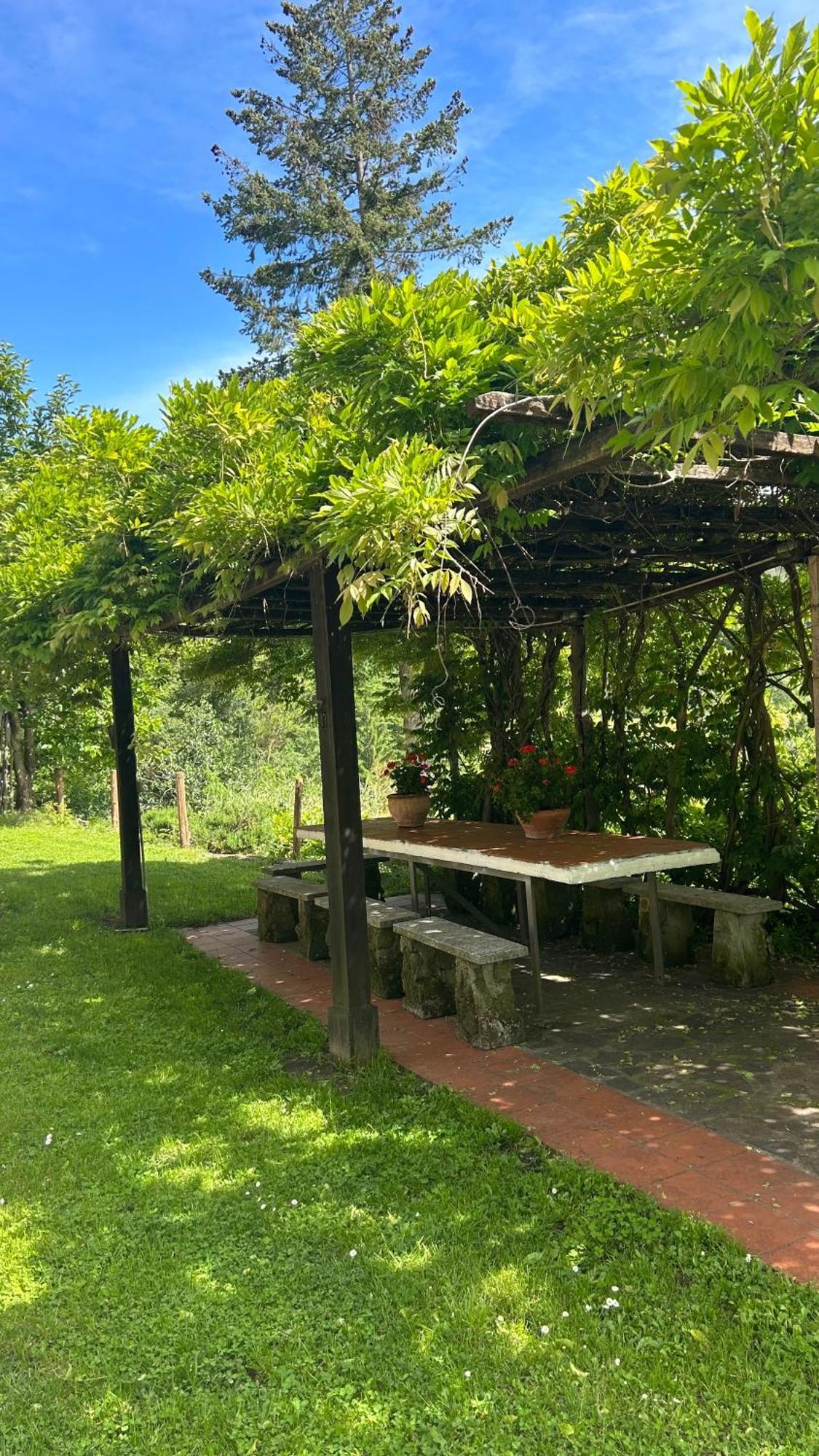 Cascina Ciosse B&B Grognardo Exteriér fotografie